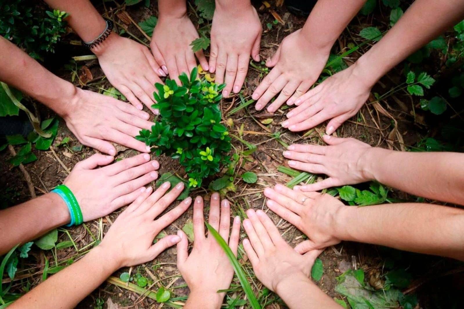 Городские экологические инициативы: реальные истории изменений - 3